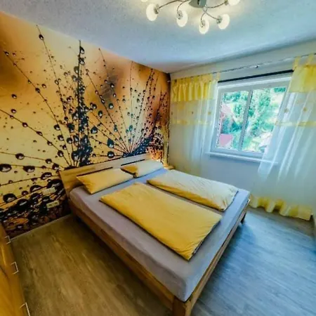 Apartment Ferienwohnung In Luisenthal